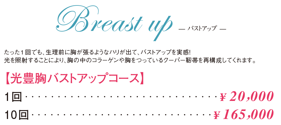 バストアップメニュー一覧