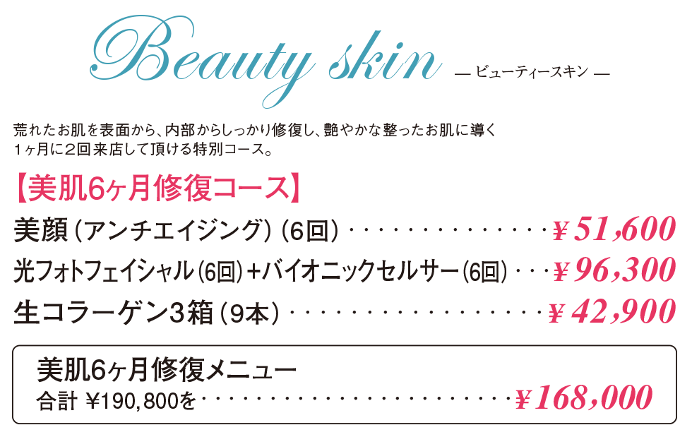ビューティースキンメニュー一覧